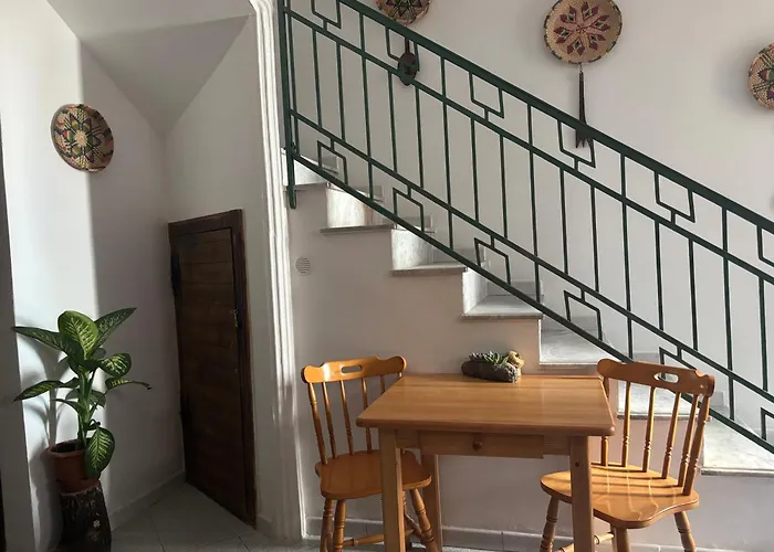 民宿 Domo Via Ozieri